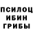 Псилоцибиновые грибы ЛСД Paul Wharton