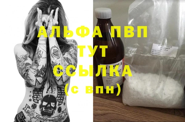 стаф Медногорск