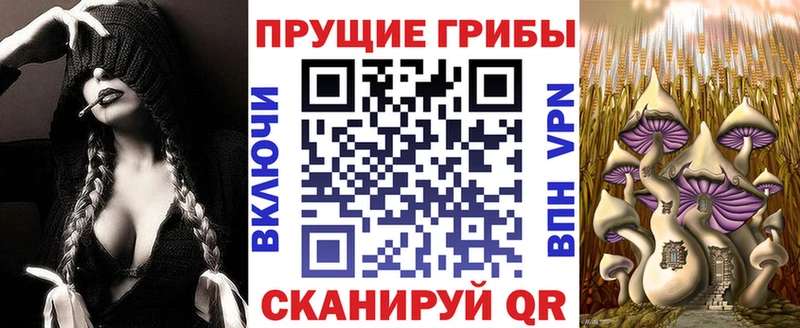 Псилоцибиновые грибы мицелий  МЕГА рабочий сайт  Златоуст 