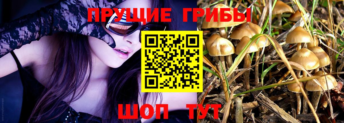 наркота  Вход с VPN  Златоуст  Галлюциногенные грибы мицелий 