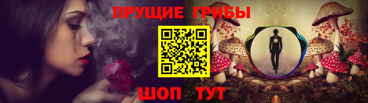 наркотики  Златоуст  Галлюциногенные грибы GOLDEN TEACHER 